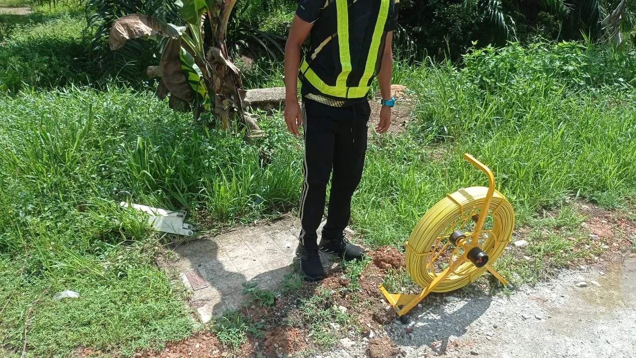 UMAP Activity - umap (22)